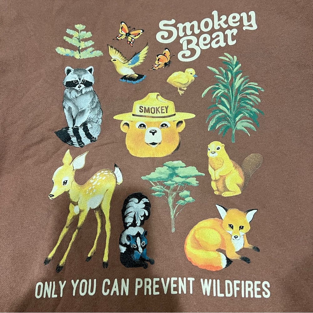 Smokey Bear Brown Graphic Sweatshirt - Women's - Picture 3 of 6